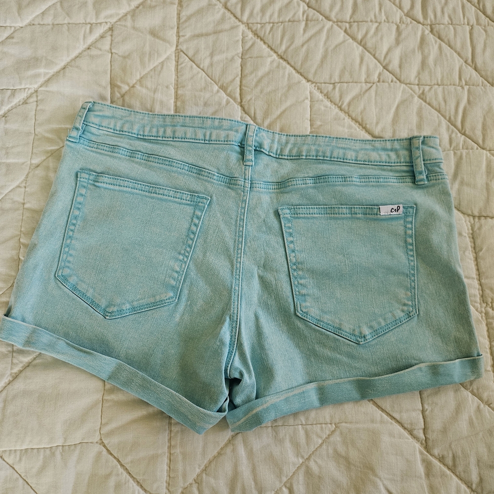 Chip & Pepper-Stonewashed Mint/Blue Green Shorts- Size 30 - Picture 2 of 8